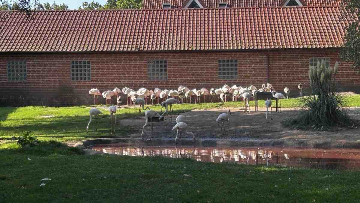 Ausflug zum Tierpark Thüle