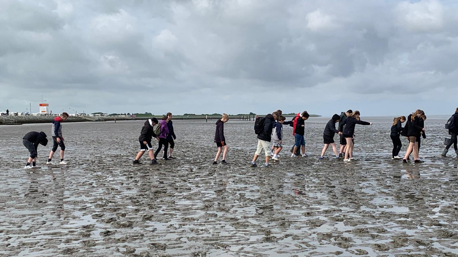 Jahrgang 7 fährt ans Wattenmeer