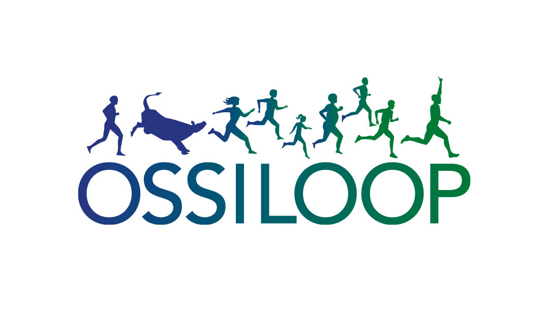 Unsere Lauf-AG beim Ossiloop