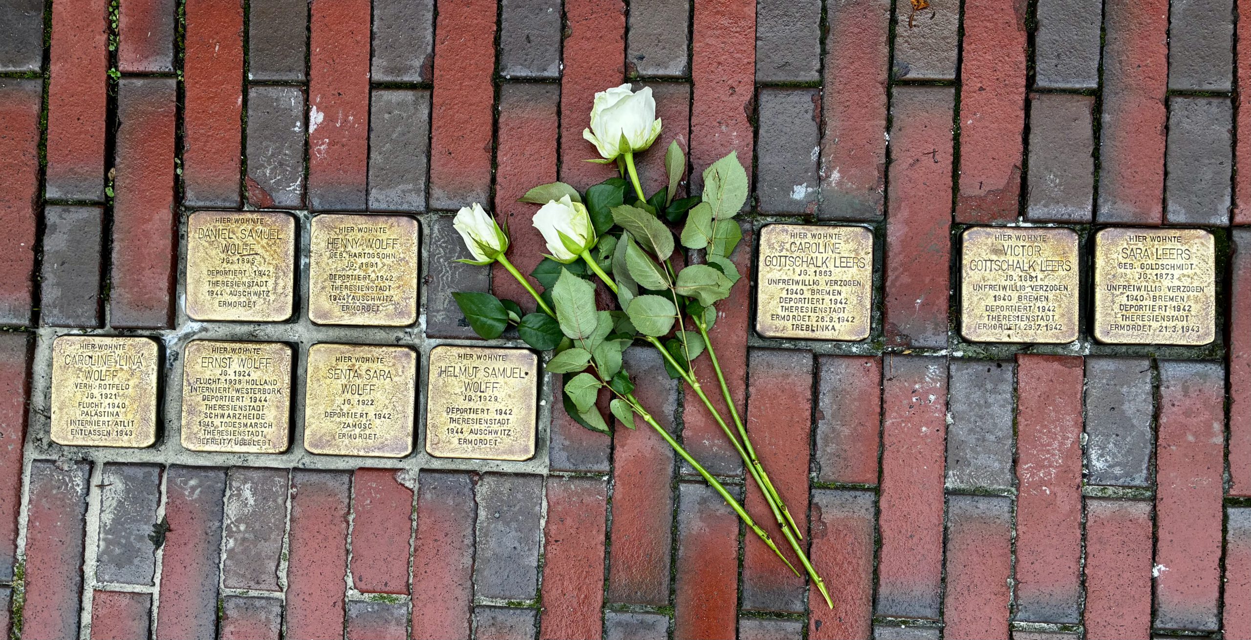 Gedenken bewahren – 9. Jahrgang putzt Stolpersteine in Aurich